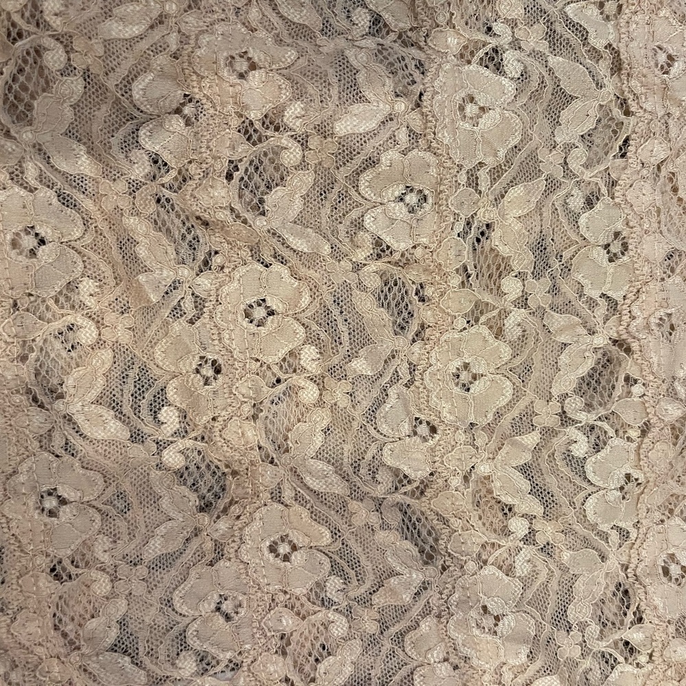 nwt anthro Lace camisole in nude small - Picture 3 of 10